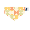 (EMA018) MYO 2.0 Pet Pet Graphic Bandana