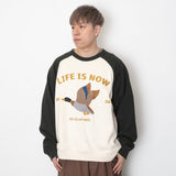 (SW488) Teal Duck Embroidery Raglan Sweater