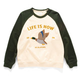 (SW488) Teal Duck Embroidery Raglan Sweater