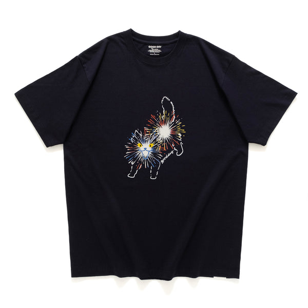 (ZT1548) Fireworks Cat Graphic Tee